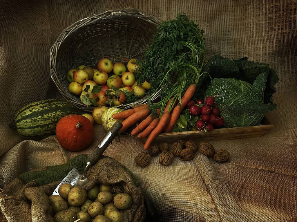 Aprovado Projeto de Lei que beneficia agricultores familiares que fornecem produtos para merenda escolar