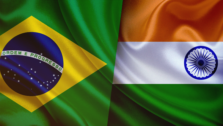Tereza Cristina irá para a Índia em janeiro para tratar de exportações