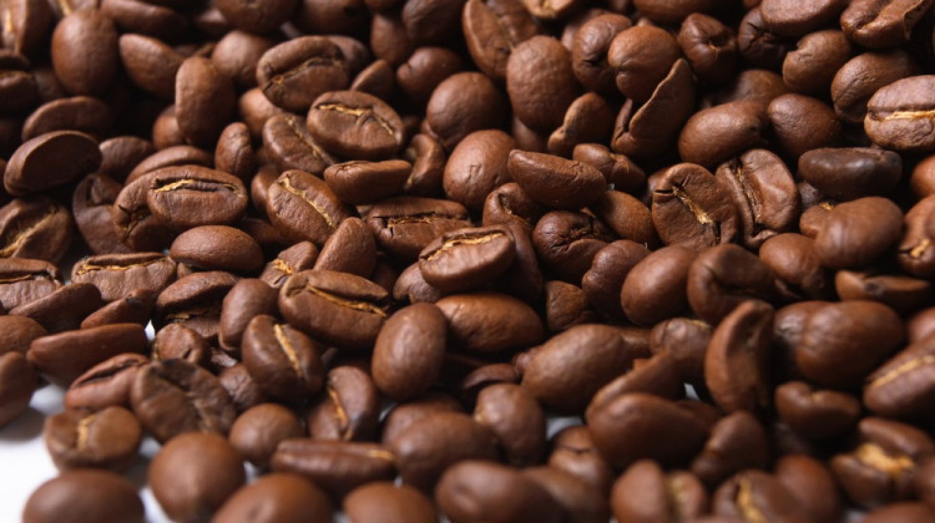 Rabobank prevê safra 2018 de café em 56,8 milhões de sacas 
