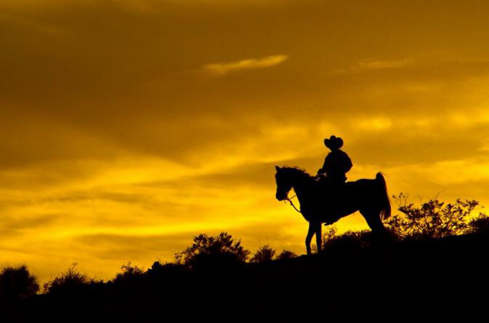 Jornada da superação: Cowboy brasileiro percorre do Canadá até Barretos