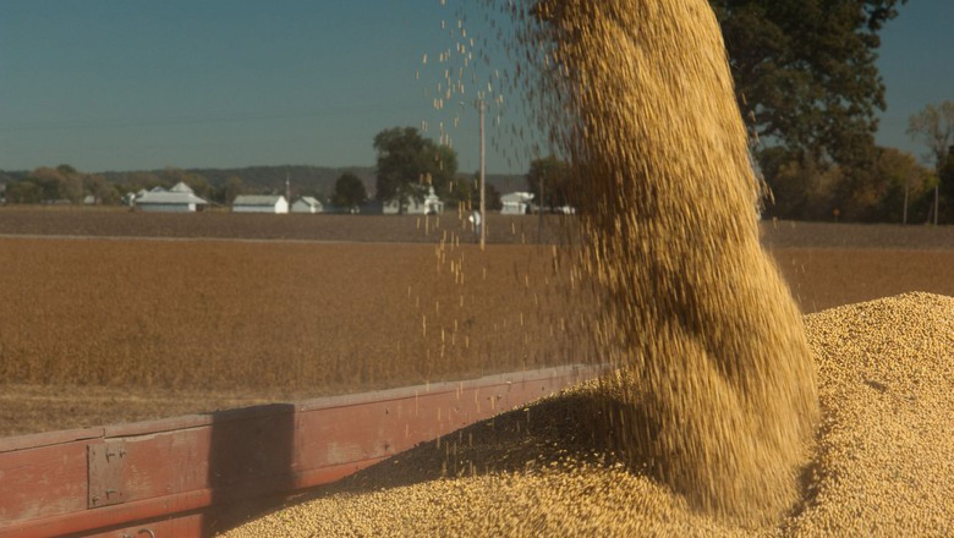 Safras & Mercado estima soja do Brasil em 119,23 mi/ton 