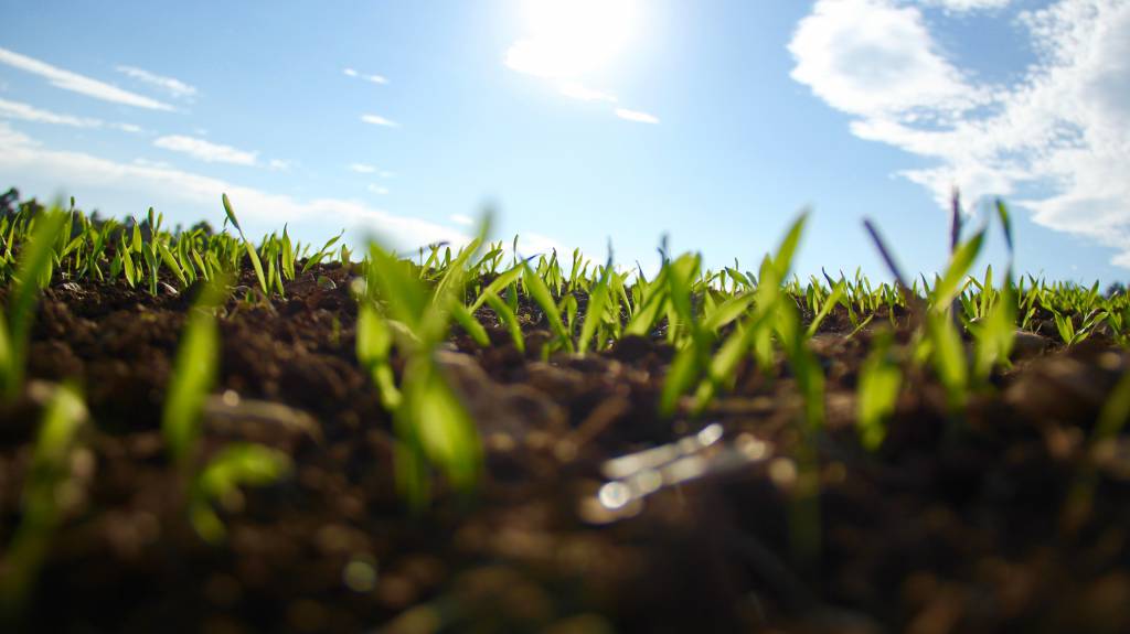 Centro-Oeste com calor e ar seco no fim de abril