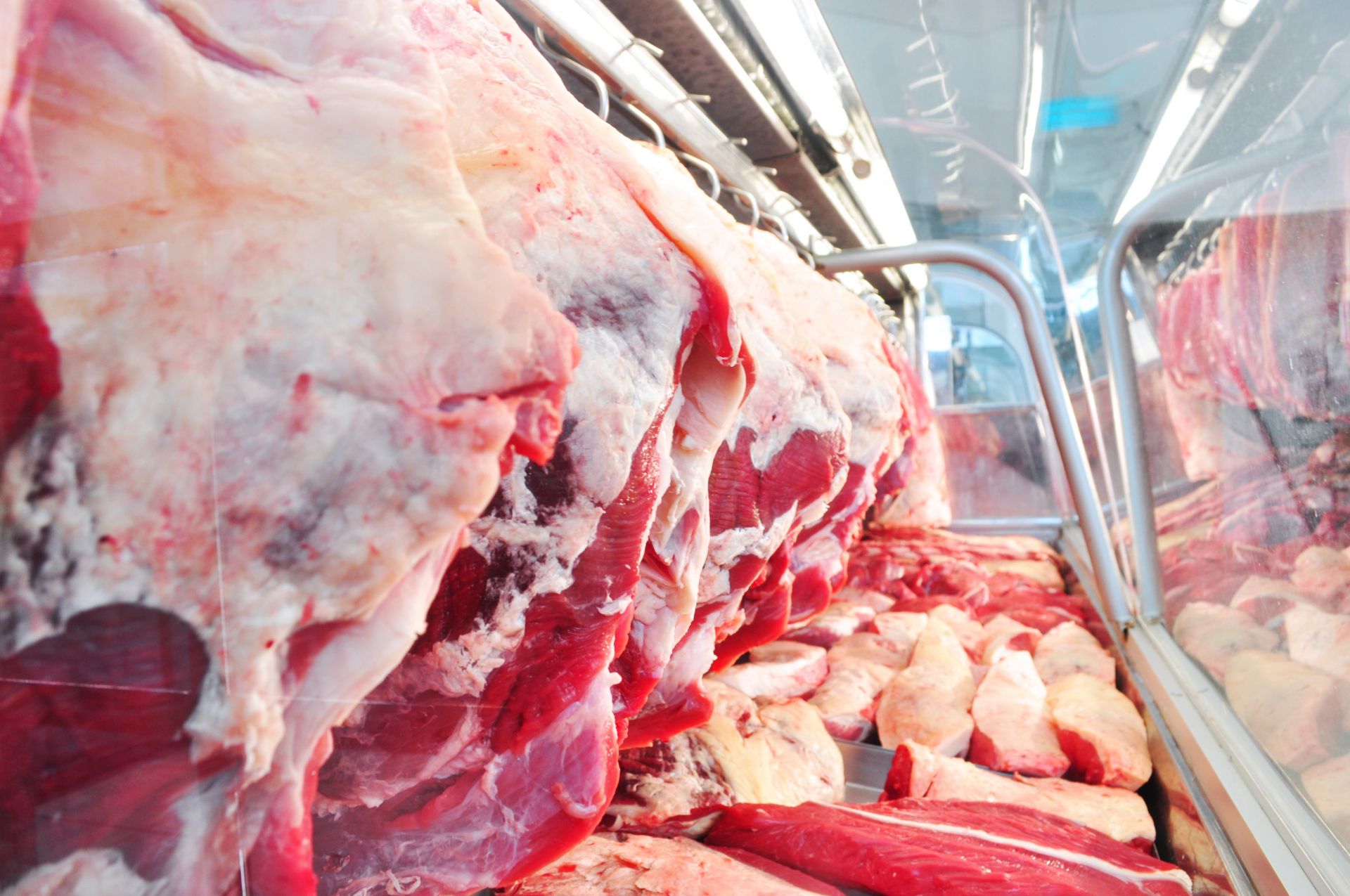Exportações no mercado pecuário seguem firmes e arroba fecha a R$ 201,80