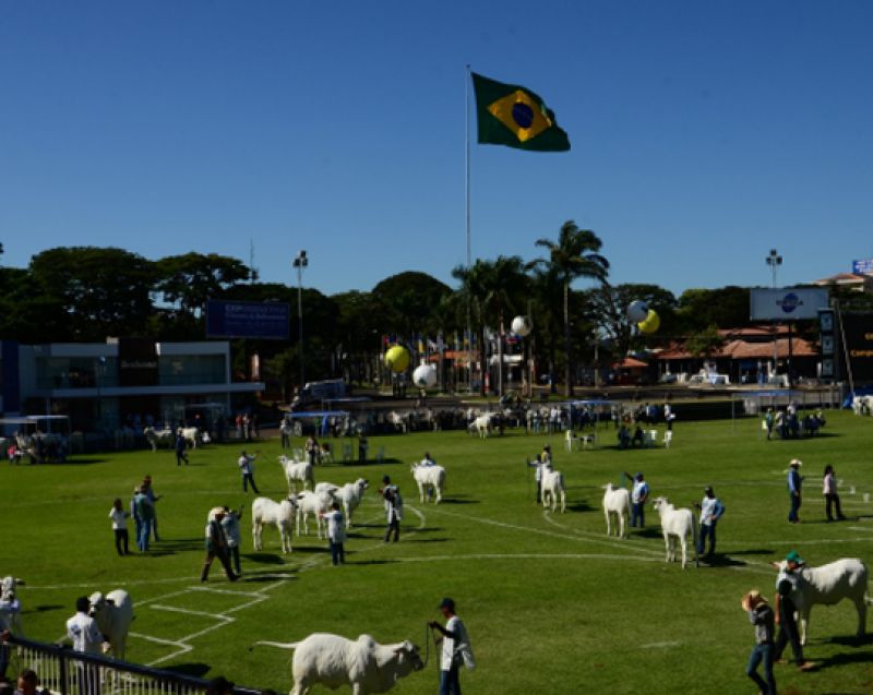 ABCZ anuncia cancelamento da ExpoZebu 2020