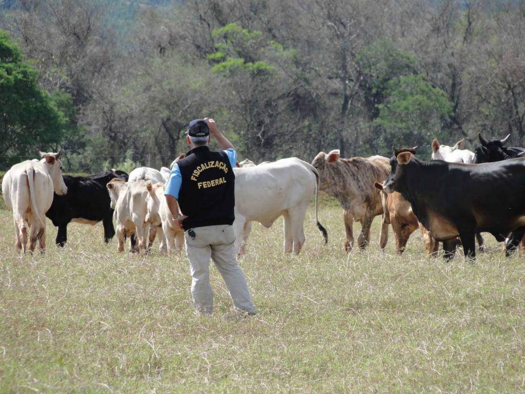Governo cria grupo para revisar método de fiscalização de produtos veterinários