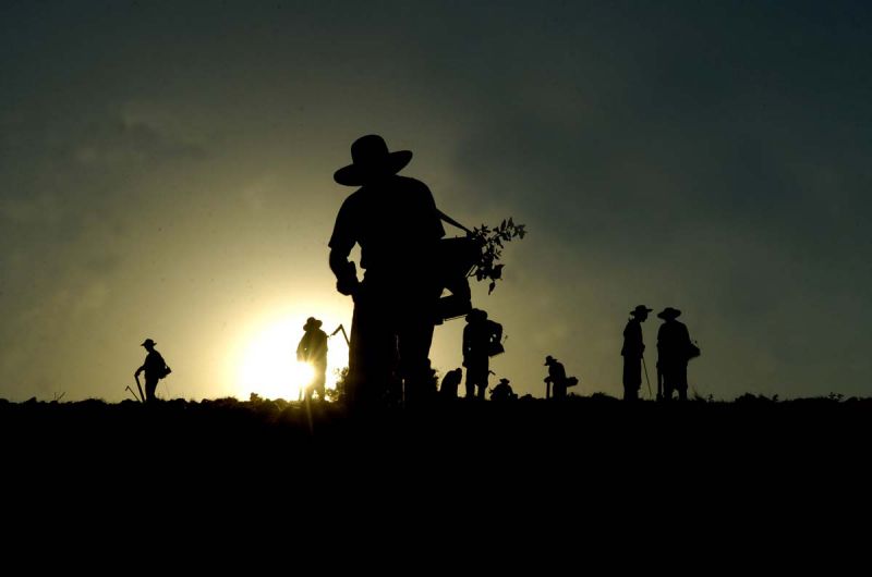 Mais de 139 mil agricultores familiares receberão Garantia-Safra 2018/2019 a partir deste mês
