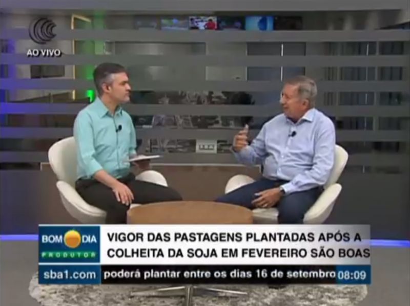 Vigor das pastagens plantadas após a colheita da soja em fevereiro são boas