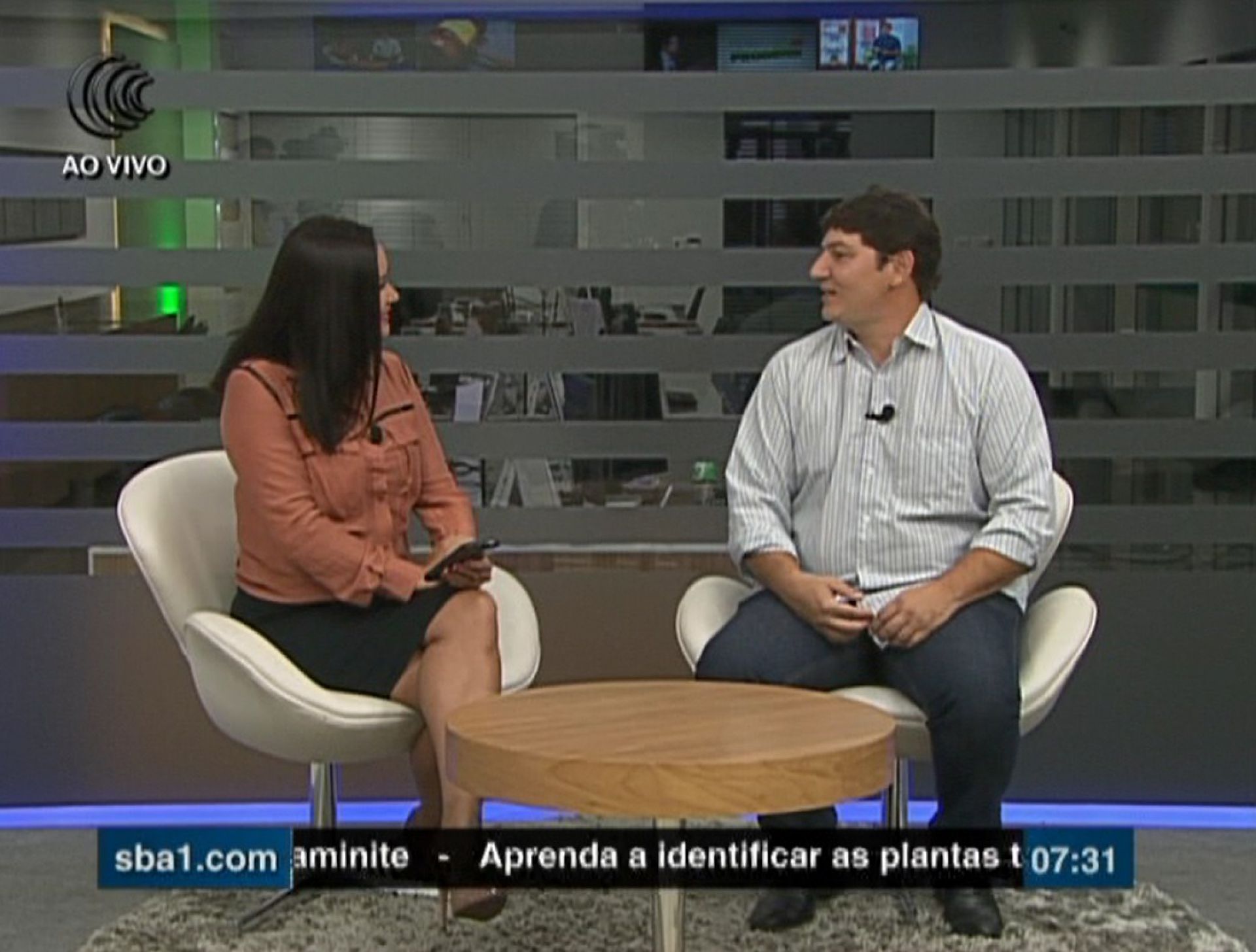 Veja como lidar com touro que tem problema de umbigueira