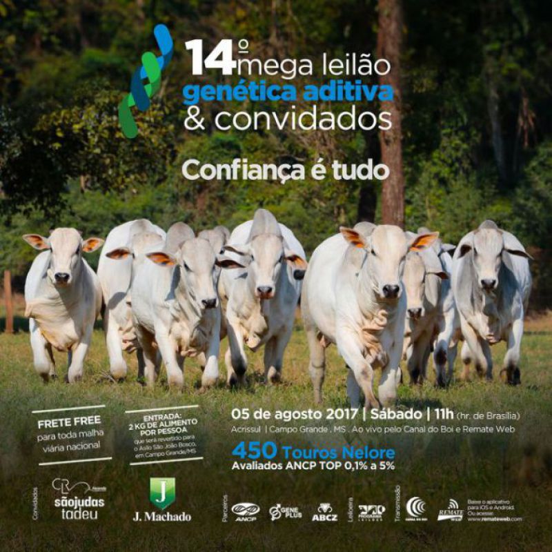 Acontece amanhã o 14° Mega Leilão Genética Aditiva e Convidados em MS