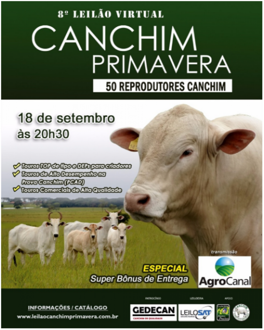 Acontece hoje às 20h30 no Agro Canal, o 8° Leilão Virtual Canchim Primavera