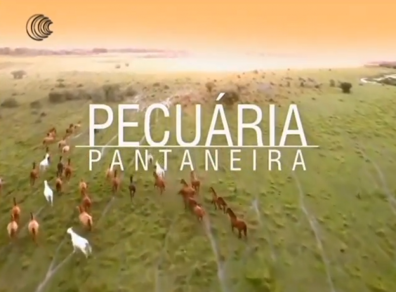 Documentário Pecuária Pantaneira será lançado dia 19 pela Real H