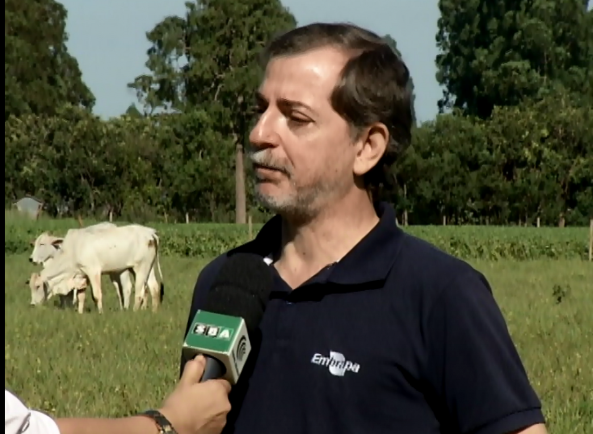 Planejamento Forrageiro 