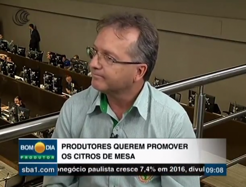 Produtores querem promover os citros de mesa