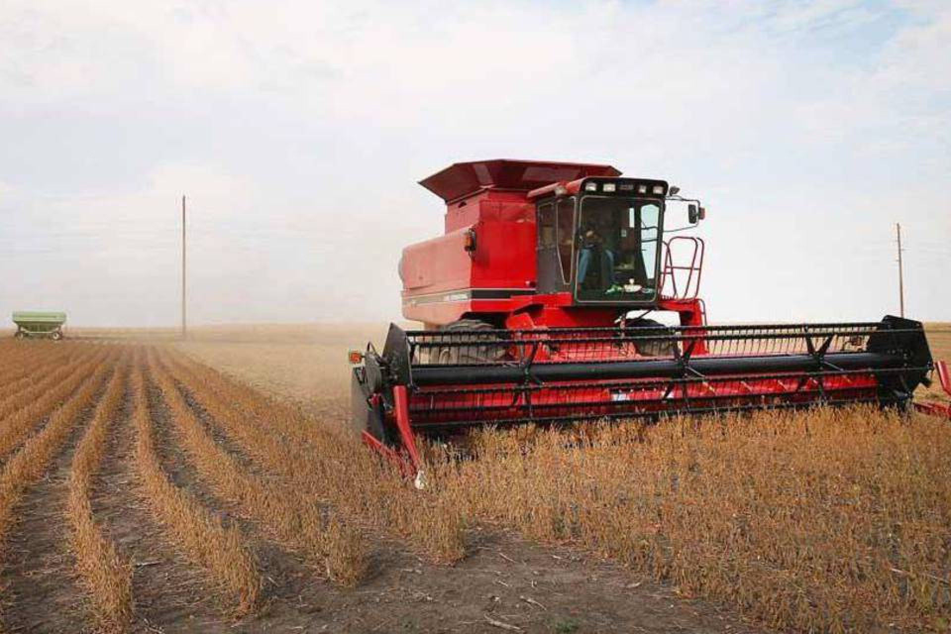 Paraná está na reta final da colheita da safra de soja 