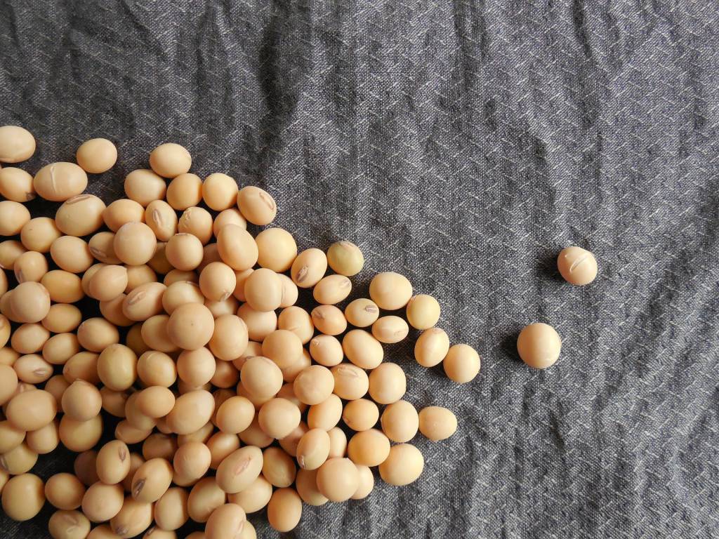 Brasil embarcou 829,52 mil toneladas de soja em grão na primeira semana do mês