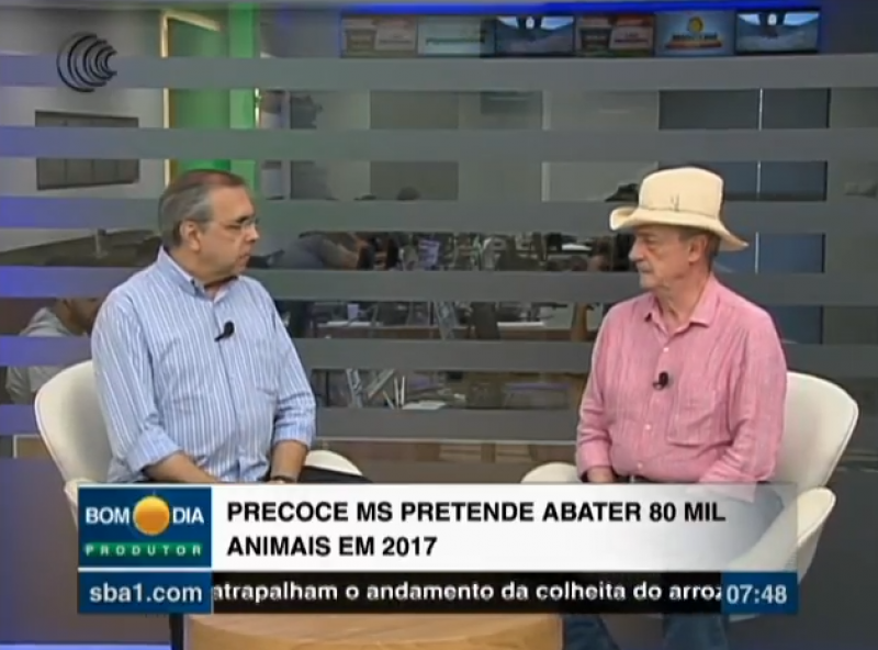 Precoce MS pretende abater 80 mil animais em 2017