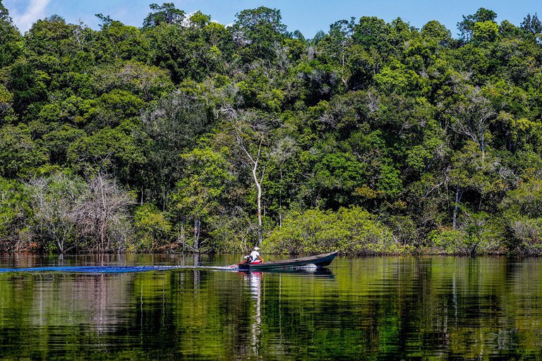 Em 2025, desmatamento tem redução de 11,08% na Amazônia e 11,49% no Cerrado