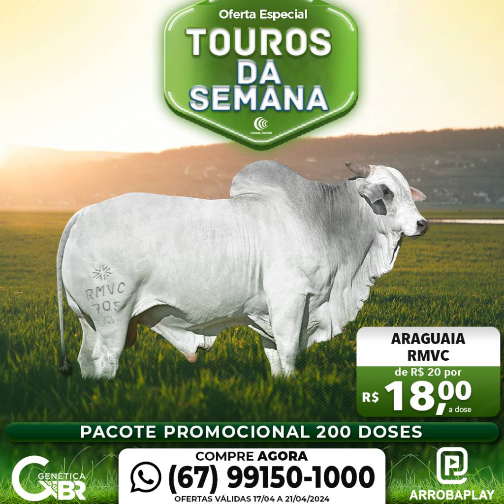 Conheça os touros com venda especial de sêmen desta semana