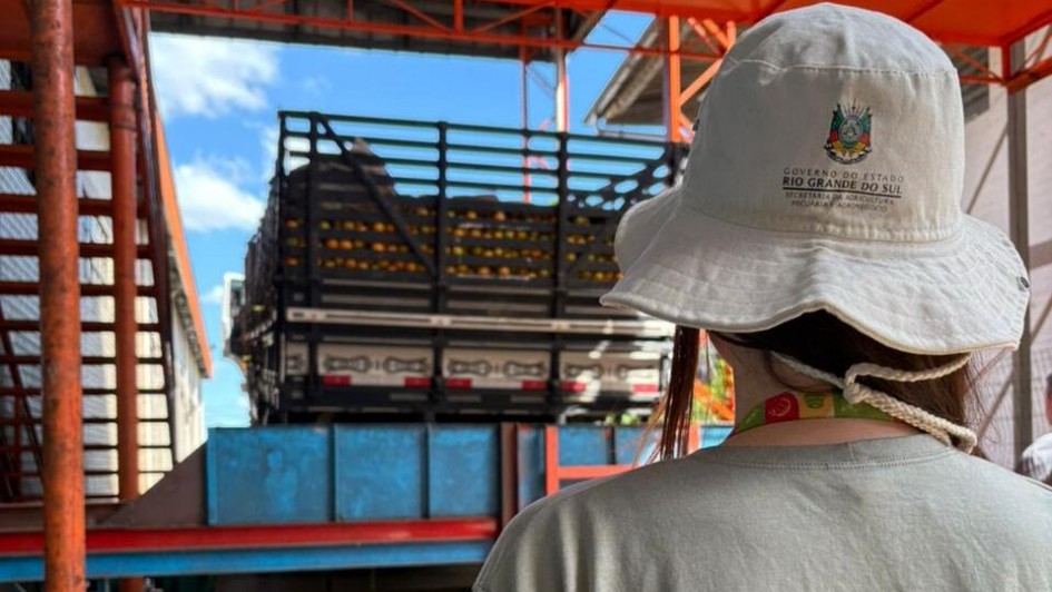 Governo do RS realiza força-tarefa para evitar ingresso da mais grave doença mundial a atacar plantas cítricas