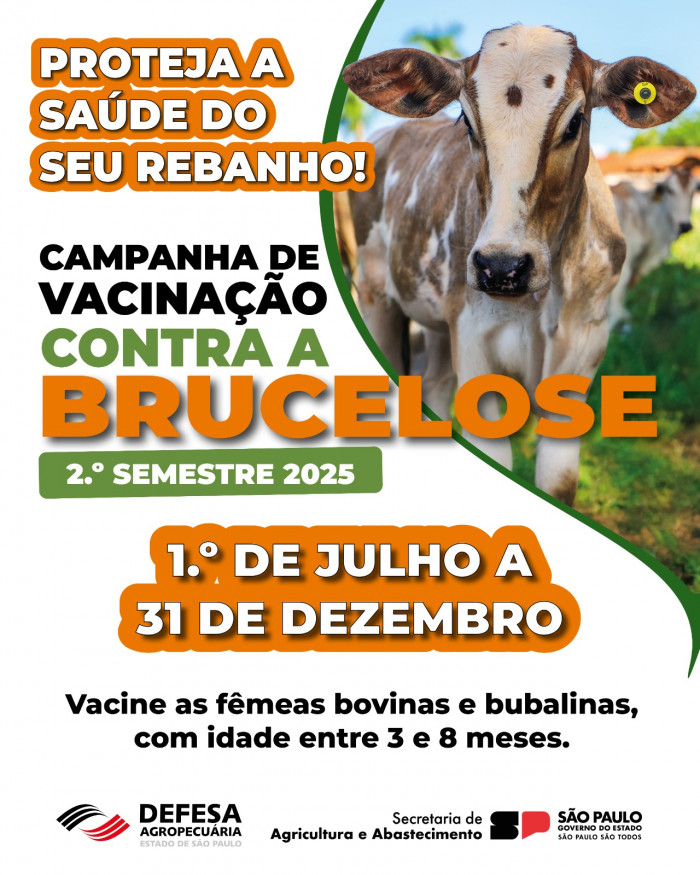 Campanha de Vacinação contra brucelose vai até dia 31 de dezembro em todo de São Paulo