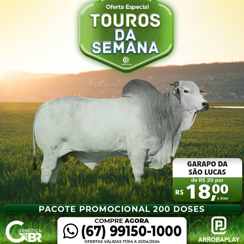 Conheça os touros com venda especial de sêmen desta semana