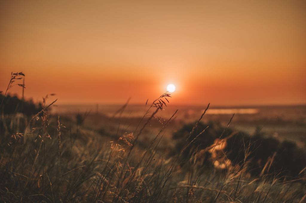 Ondas de calor prejudicam a produção de grãos e a agricultura familiar