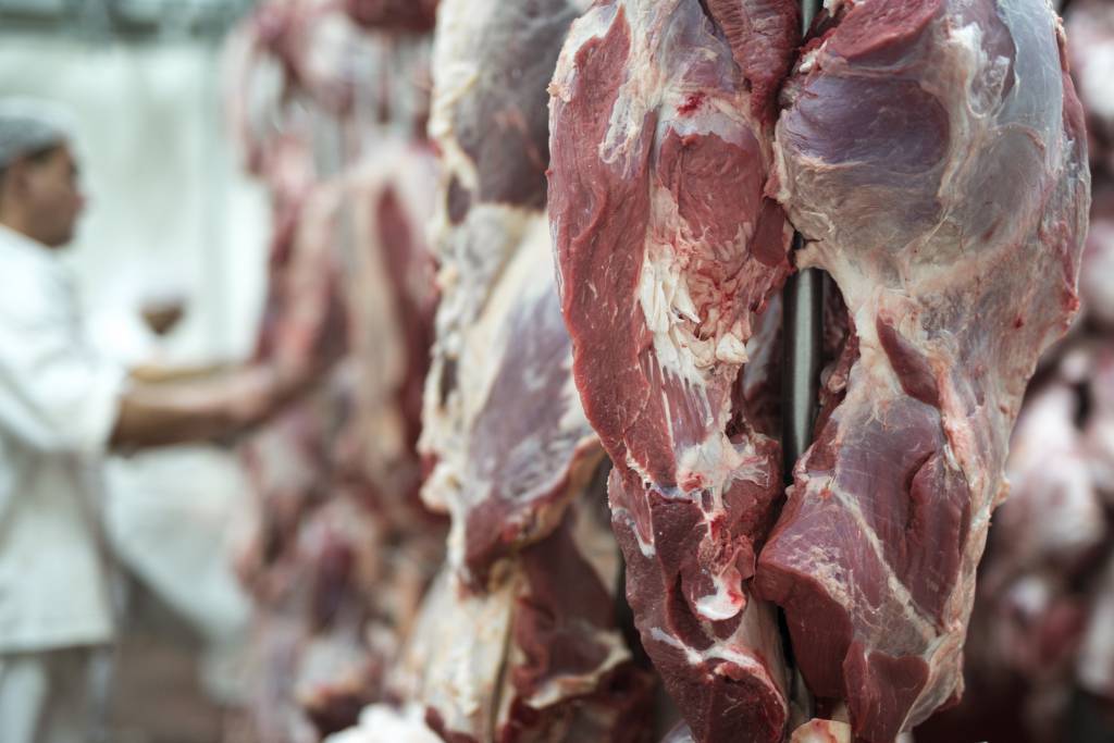 IBGE aponta crescimento de abate de animais no terceiro trimestre de 2023