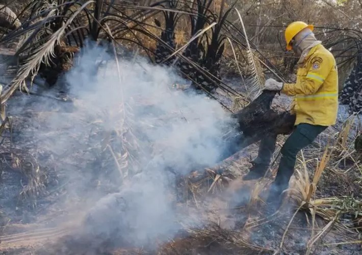 Efetivo de combate a incêndios no Pantanal é ampliado