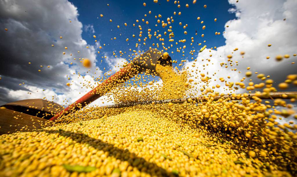 Efeitos climáticos no Brasil impactam mercado da soja