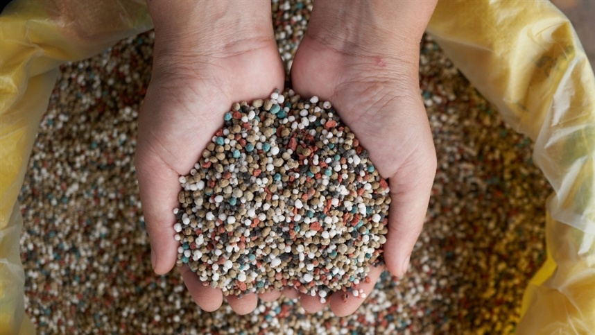 Alta nos fertilizantes pressiona custo da produção