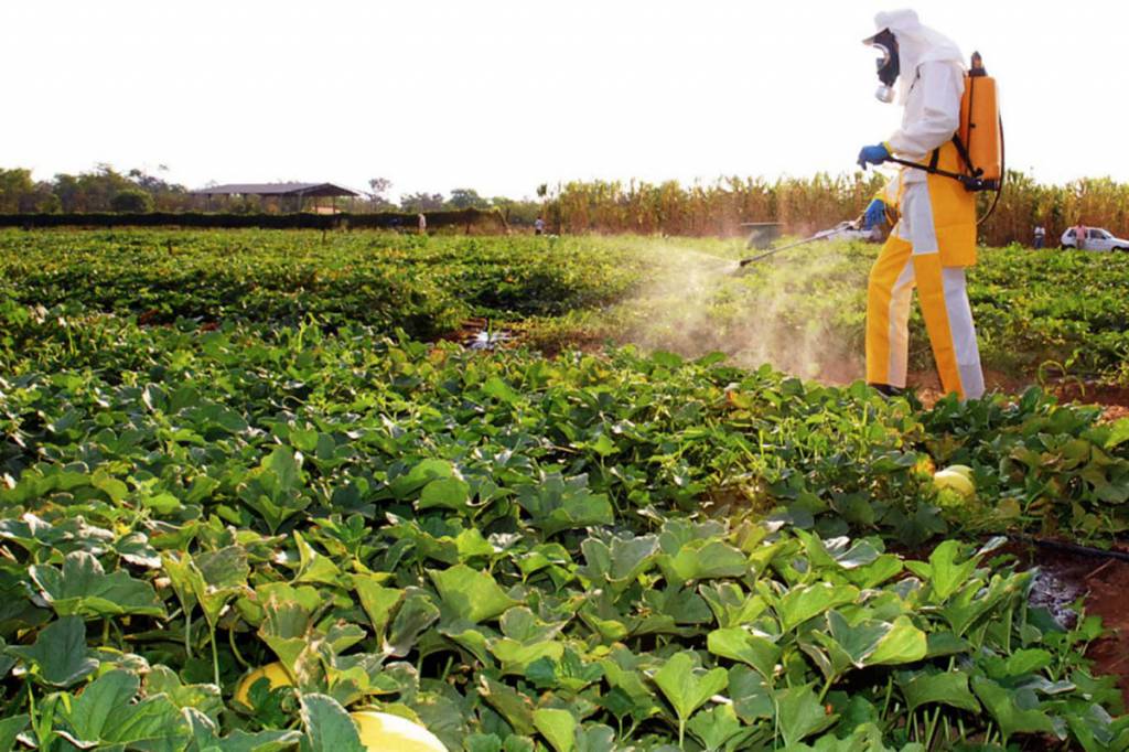 Agrotóxicos à base de fipronil está suspenso cautelarmente pelo Ibama 