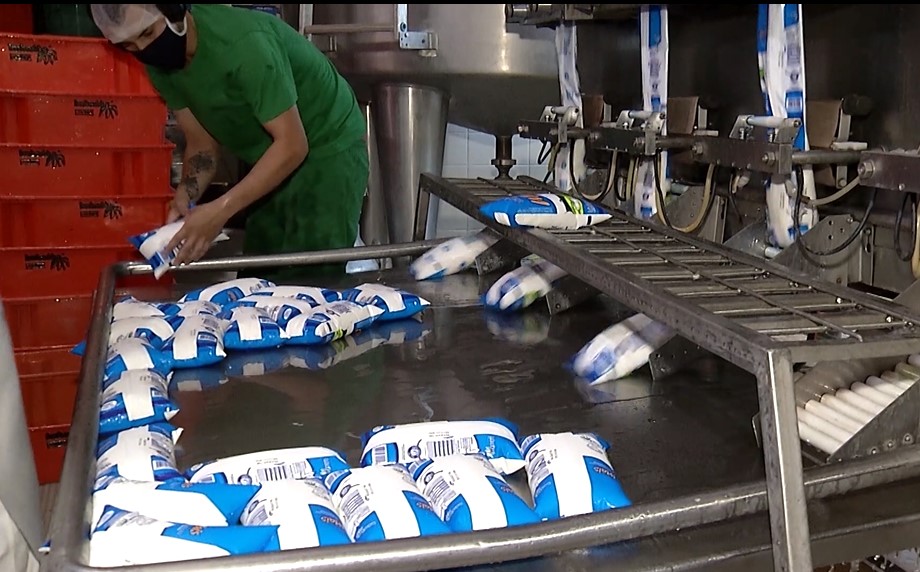 Ministério remaneja R$ 707 milhões em crédito para produtores de leite 