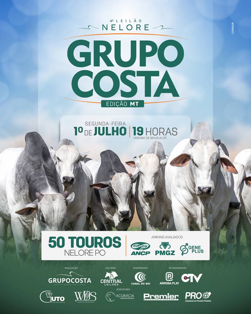 4° Leilão Nelore Grupo Costa - Edição MT hoje às 19h no Canal do Boi