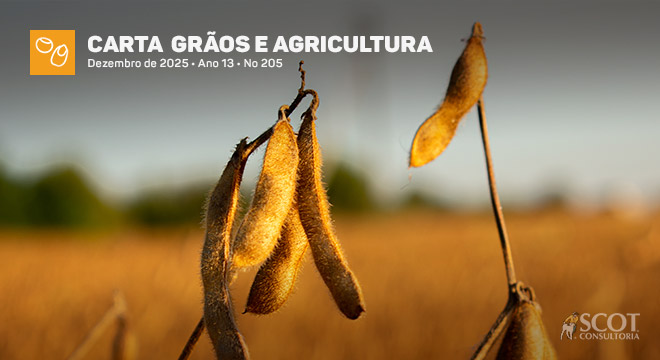 Carta Grãos e Agricultura - Soja: recorde atrás de recorde