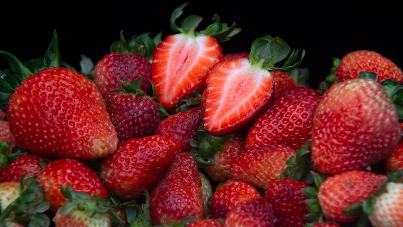 Morango alcança pico de produção na serra gaúcha