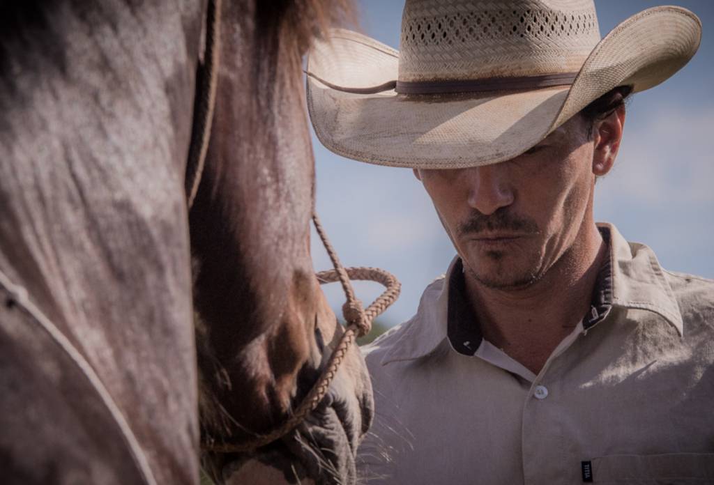 Cavalo Crioulo será atração na Expogrande
