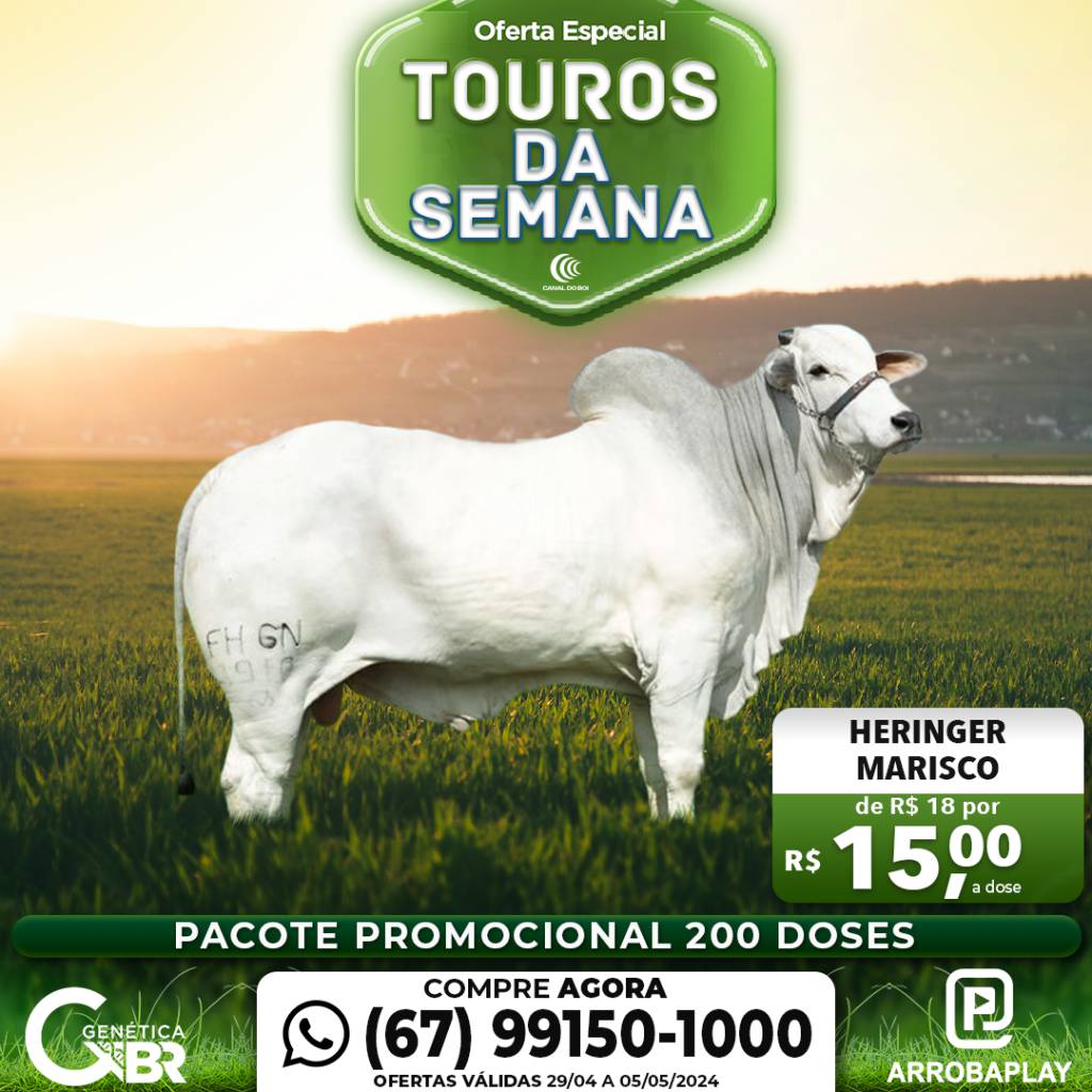 Conheça os touros com venda especial de sêmen desta seman