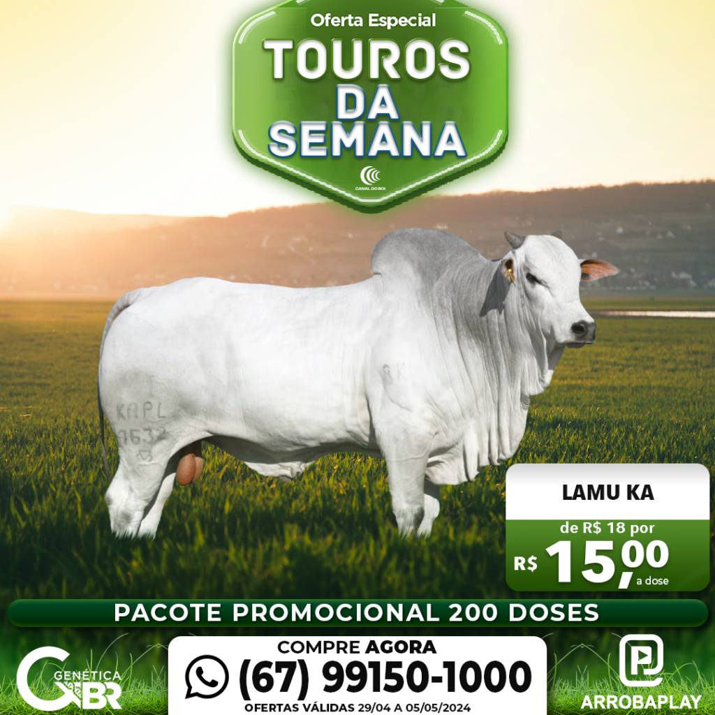 Conheça os touros com venda especial de sêmen desta semana