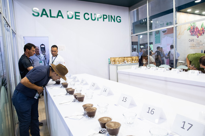 Cupping de Cafés Diferenciados promove conexão entre produtor e comprador