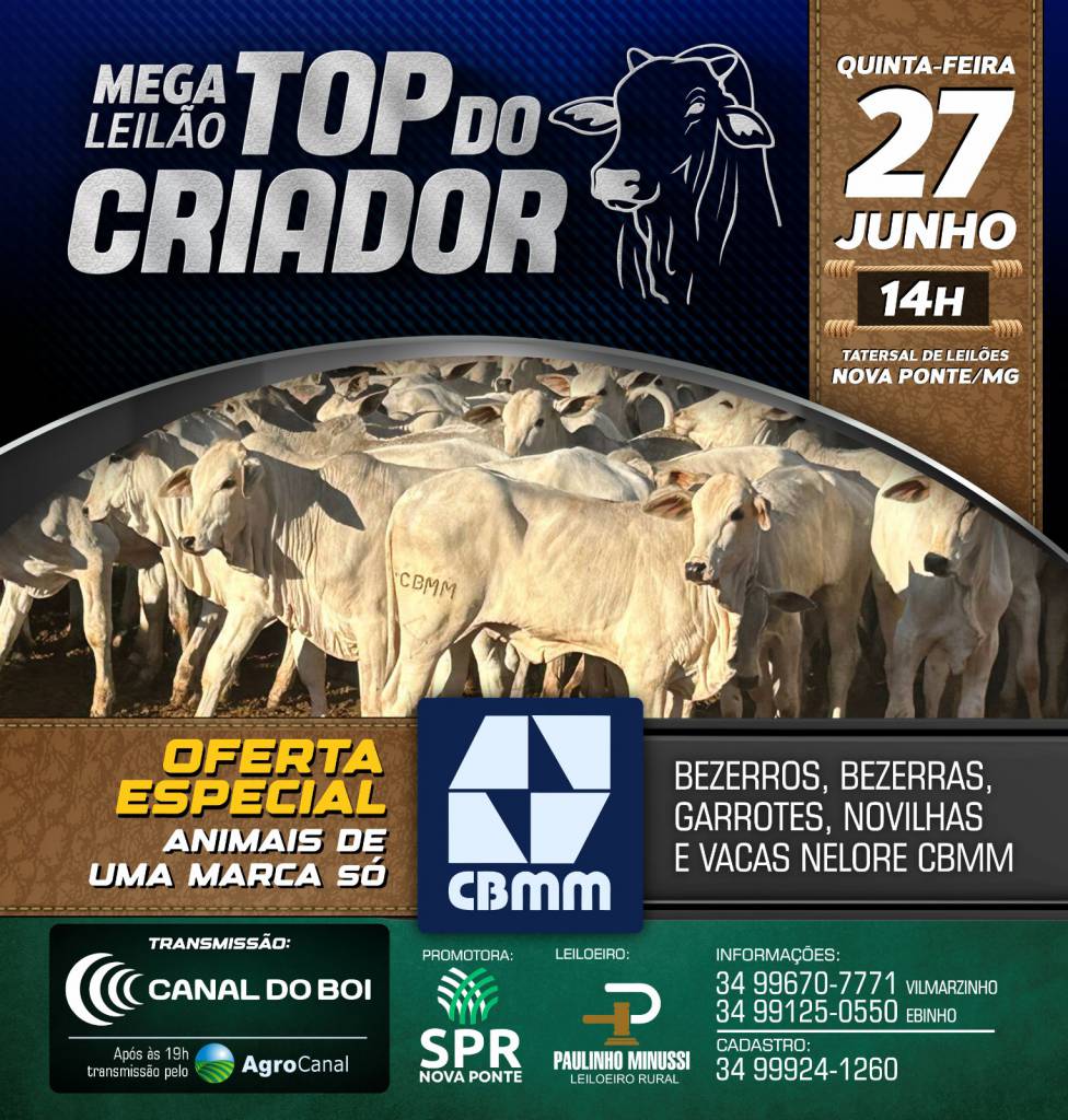 Mega Leilão Top do Criador hoje no Canal do Boi