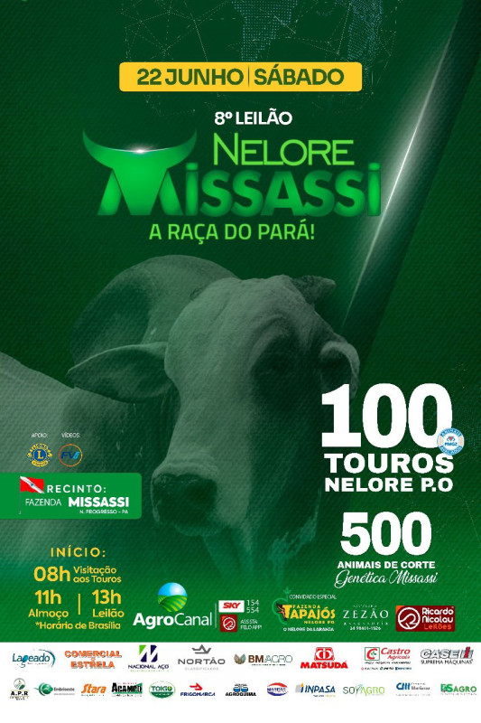 8° Leilão Nelore Missassi hoje no Agro Canal