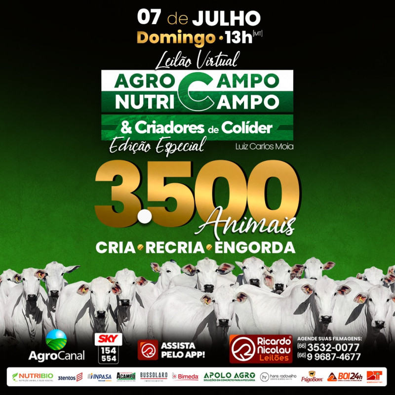 Leilão Virtual Agrocampo Nutricampo & Criadores de Colíder - Edição Especial hoje no Agro Canal