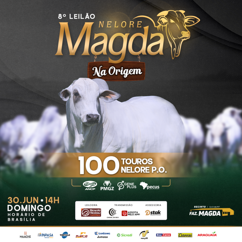 8° Leilão Nelore Magda - Na Origem hoje no Canal do Boi