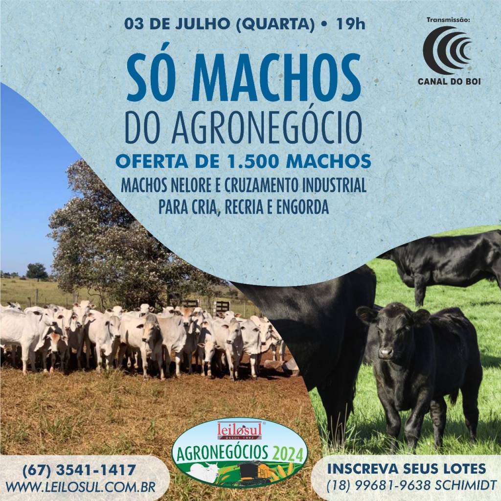 Leilão Só Machos 2024 hoje às 19h no Canal do Boi