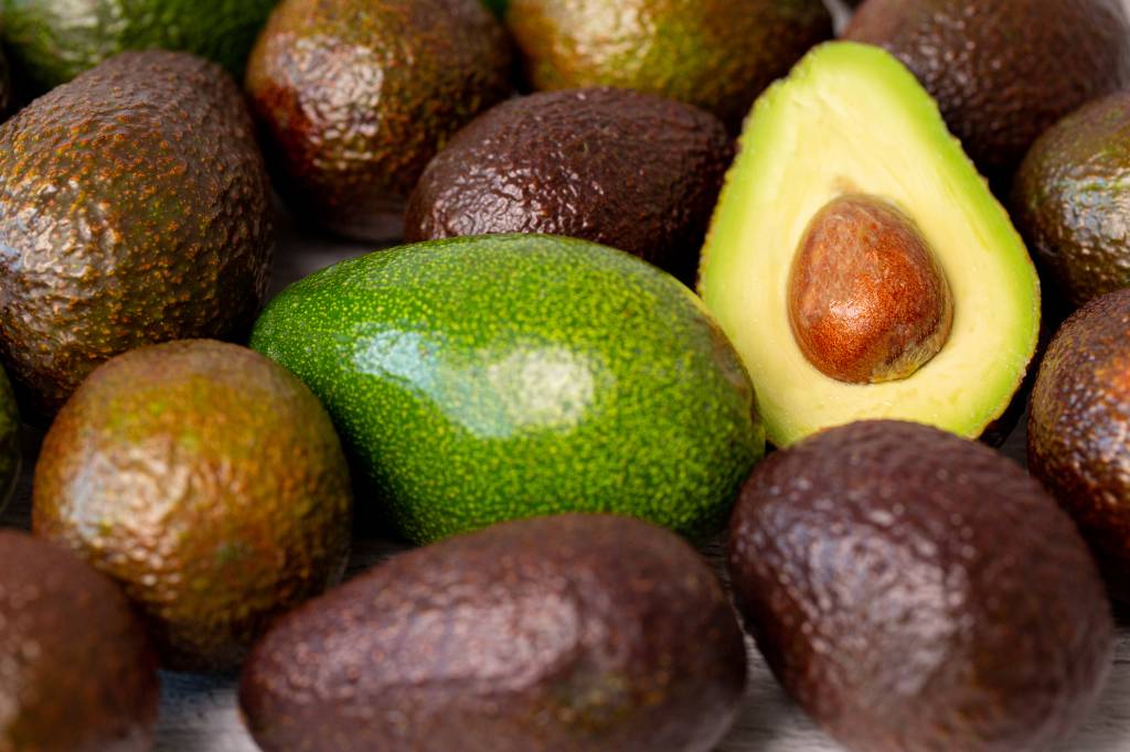Brasil realiza primeira exportação de abacate tipo Hass para o Chile com apoio da Abrafrutas