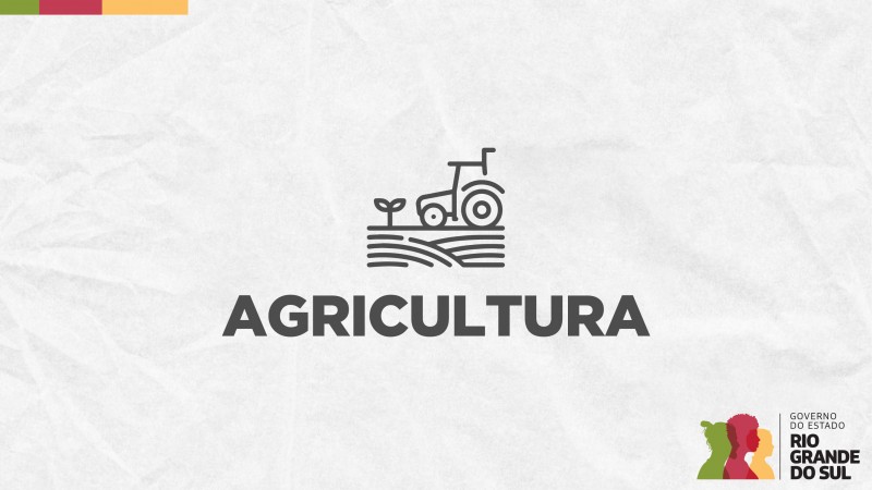 Gripe aviária em ave silvestre é confirmada em Rio Pardo/RS