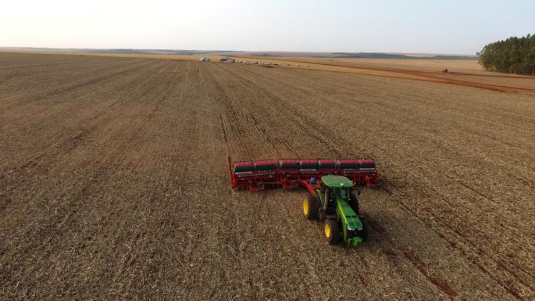 Projeção para 2025 aponta MS no topo do crescimento agropecuário nacional