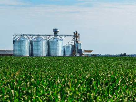 Agroindústria tem alta de 2,3% em setembro de 2025, ante o mesmo mês do ano passado, revela o FGVAgro