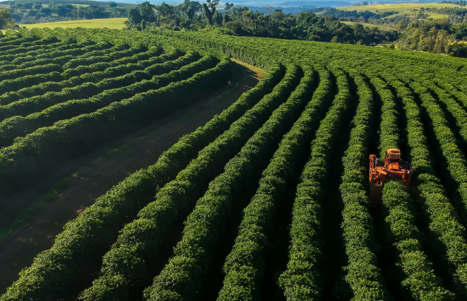 Agronegócio fornece 29% de toda a energia do país, revela estudo do Observatório de Bioeconomia da FGV