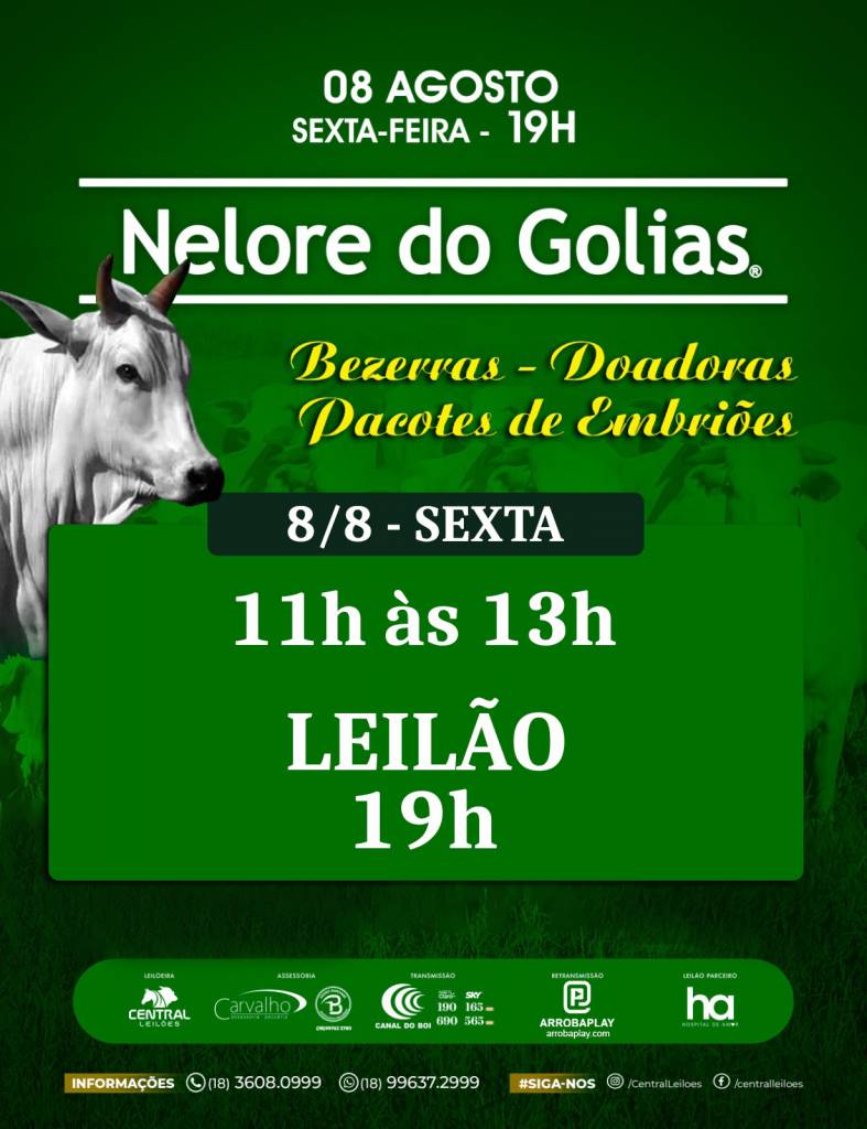 Nelore do Golias realiza hoje às 11h no Canal do Boi última apresentação dos animais que irão à leilão 